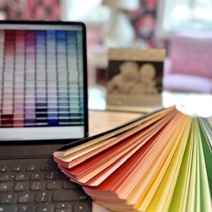paint consultation color swatch